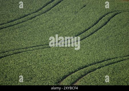 Tracks in field 1 Stock Photo