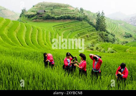 'Long hair' Yao women at the Longsheng Rice Terraces, also called the Longji Rice Terraces in Guangxi, China. Stock Photo