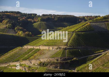 Vineyards near Rech on the red wine hiking trail in the Ahr valley Stock Photo