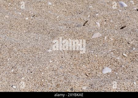 sand beach Stock Photo