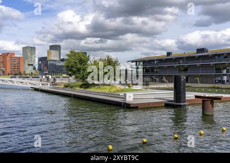 The Floating Office Rotterdam, is considered the world's largest floating office building, first part of the floating park, in the Rijnhaven, 28ha har Stock Photo