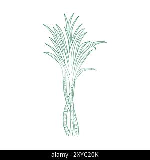 Vintage Retro Ink Hand Drawn of Sugar Cane Plant Tree for Spice or Agriculture Farm Product. Vector Illustration Stock Vector