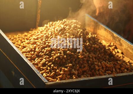 A pile of steamed peanuts sits in a blue container. The peanuts are scattered all over the container, with some of them piled on top of each other. Stock Photo