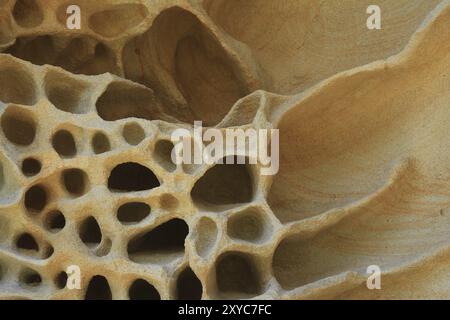 Detail of a rock at Bondi Beach Stock Photo