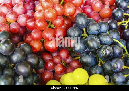 Pile of Red, Black and White Grapes Stock Photo