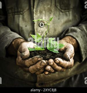 Old man hands holding a green young plant. Symbol of spring and ecology concept Stock Photo