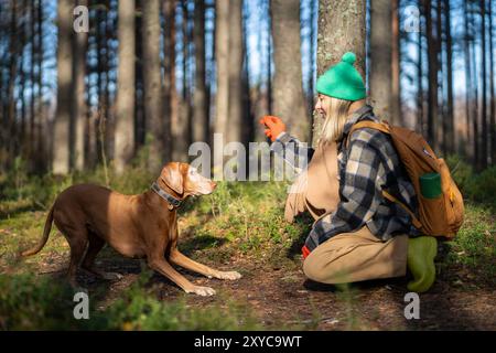 Joyful interested woman pet owner trains playful eager to follow command dog on walk in fall forest. Stock Photo