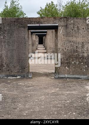 In Saint Nazaire, France, one of the main submarine bases of the nazis has been preserved for the history. Gilles Clément has imagined a garden inside Stock Photo