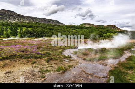 Hot springs in Haukadalur geothermal area along the golden circle, western Iceland Stock Photo