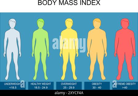 Body Mass Index. BMI calculation. Height and weight. Vector poster. Isometric Flat  illustration. Schematic diagram Stock Vector