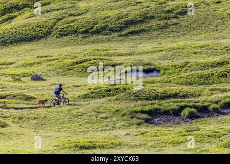 Mountain biker with traildog, man with Vizsla dog on a bike trail, Pischa, Huereli above Davos, Graubuenden, Switzerland, Europe Stock Photo