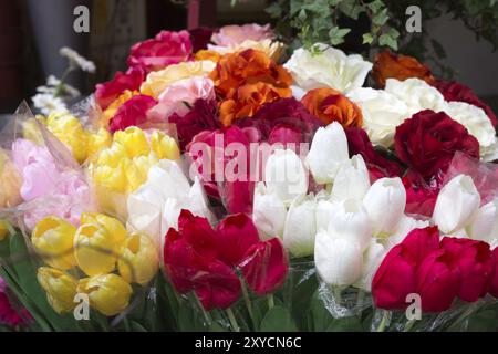 Fresh tulips in front of a flower shop Stock Photo