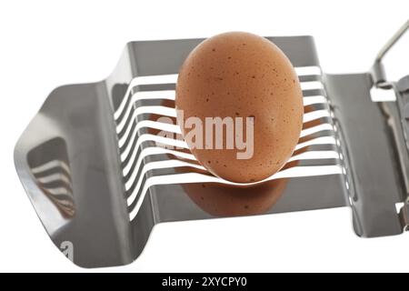 Egg slicer with an egg in front of a white background Stock Photo