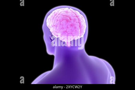 Conceptual image of human brain Stock Photo