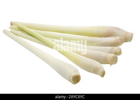 Lemongrass on a white background Stock Photo