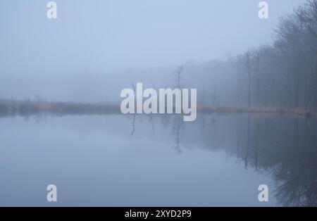 Wild lake in forest and dense fog, Drenthe, Netherlands Stock Photo