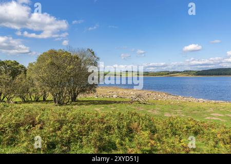 Looking to the east from the west side of the Derwent Reservoir, County Durham, England, UK Stock Photo