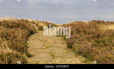 Cleveland Way between Clay Bank and Wainstones, North York Moors, near Stokesley, North Yorkshire, UK Stock Photo