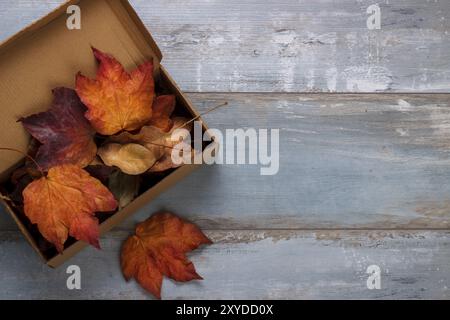 Autumn leaves in vintage box over blue rustic wooden background with copy space Stock Photo
