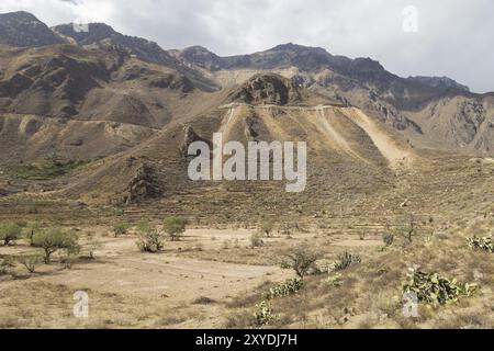 Panoramic view of the Colca Canyon in Peru Stock Photo