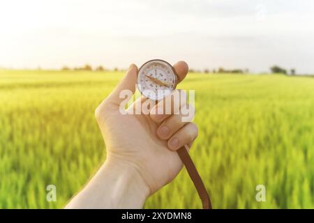 Finding a direction in nature on a wheat field. A man's hand holds a compass Stock Photo