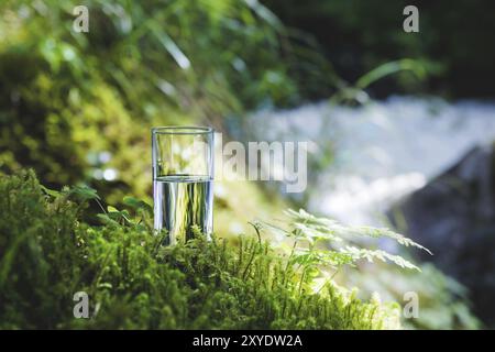 Clear water in a clear glass against a background of green moss with a mountain river in the background. Healthy food and environmentally friendly nat Stock Photo