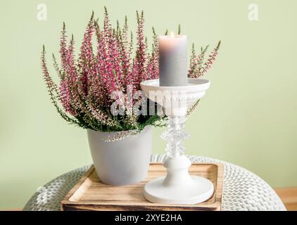 Pink color heather flower Calluna vulgaris in white flower pot with white candle holder, candle burning. Cozy autumn living space concept. Stock Photo