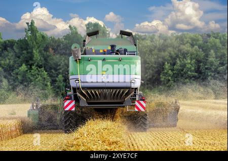 Rear view of a combine harvester during the grain harvest Stock Photo