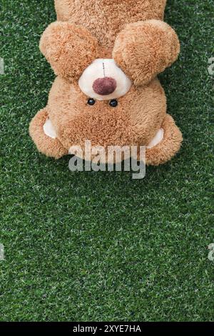 Cute teddy bear on green grass background Stock Photo - Alamy