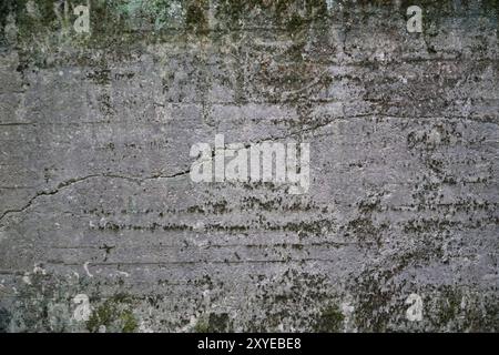 Old, cracked concrete wall with moss Stock Photo