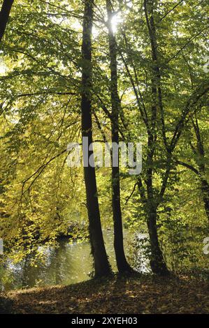 Autumn time in Cologne's city forest Stock Photo