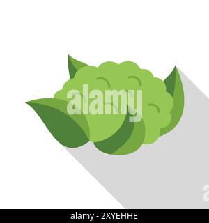 Fresh green cauliflower with leaves showing, healthy food, vegetable for cooking delicious dishes Stock Vector