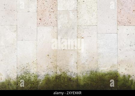 Textured background vertical facing tiles from shell stone with traces of moss formation in the form of green mold. Grunge background with elements of Stock Photo