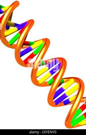 DNA molecule double helix 3D illustration isolated on white background Stock Photo