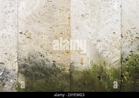 Textured background vertical facing tiles from shell stone with traces of moss formation in the form of green mold. Grunge background with elements of Stock Photo