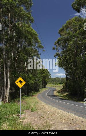 A road sign warning against kangaroos on a country road in Queensland, Australia, Oceania Stock Photo