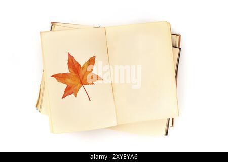 Autumn design template. An open botanical journal with a watercolour drawing of a fall leaf. A book on nature studies mock-up, shot from the top on a Stock Photo