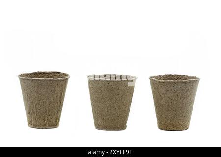 Three small peat pots on a white background Stock Photo
