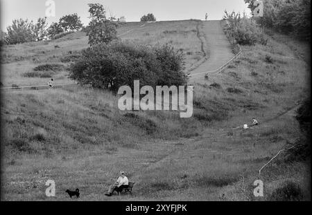 Germany, Berlin, 27 June 1991, in Volkspark Prenzlauer Berg, meadow, bushes, Europe Stock Photo