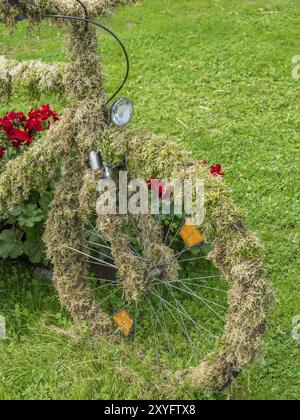 Front wheel of a moss-covered bicycle in the garden surrounded by red flowers, Bad Lippspringe, Germany, Europe Stock Photo