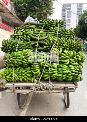 carrying heavy load of bananas on bicycle.this photo was taken from Bangladesh. Stock Photo