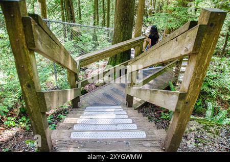 Forest Pathway Leading To The Cascade Falls Located Northeast Of