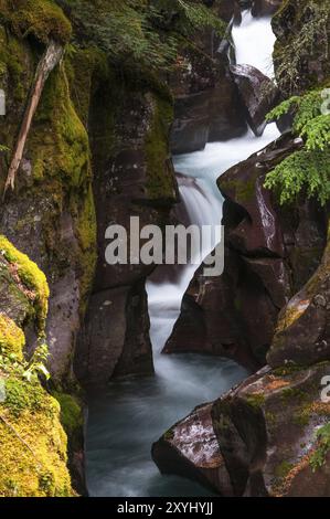 Long exposure of the Avalanche Creek in the Glacier National Park in Montana Usa Stock Photo