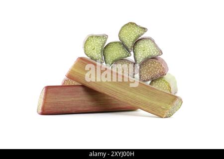 Variety of rhubarb stalks of varying colors from pale green to deep red isolated on white background, health benefits of eating rhubarb Stock Photo