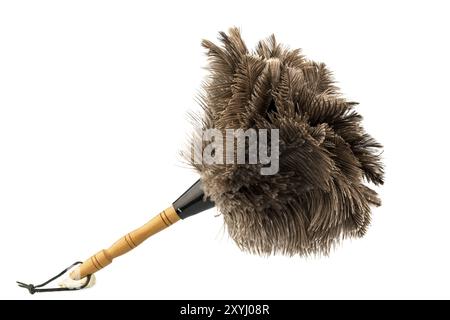 A feather duster in front of a white background, studio Stock Photo