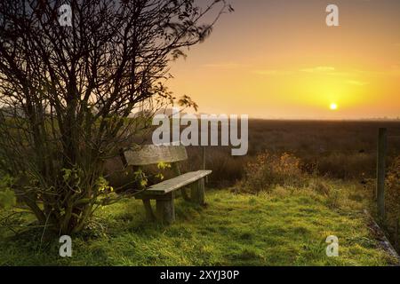 Rest place with wooden bench at calm sunrise Stock Photo