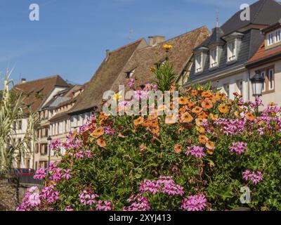 A splendour of flowers in a garden in front of traditional half-timbered houses under a sunny sky, Weissenburg, Alsace, France, Europe Stock Photo