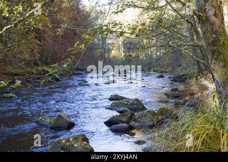 Fluss Ilz im Bayerischen Wald, Fluss Ilz im Bayerischen Wald Stock Photo