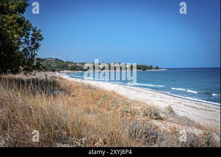 Secluded beach with clear water, blue sky and dense vegetation on the shore, Mastichari, Kos Island, Greece, Europe Stock Photo