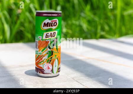 Can of Nestlé Milo Gao drink, a thicker version of chocolate malt beverage than the standard version. Stock Photo